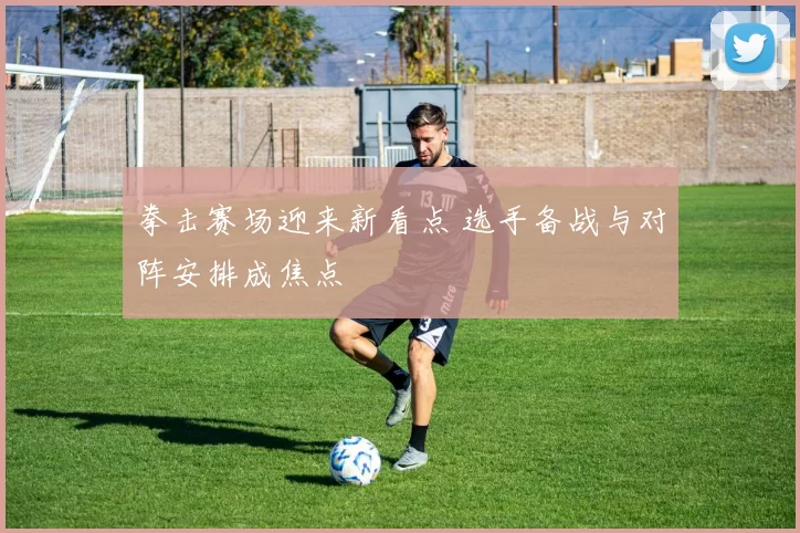 拳击赛场迎来新看点 选手备战与对阵安排成焦点