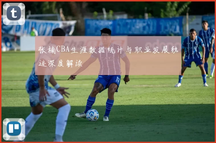 张楠CBA生涯数据统计与职业发展轨迹深度解读