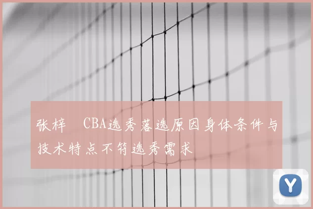 张梓祎CBA选秀落选原因身体条件与技术特点不符选秀需求